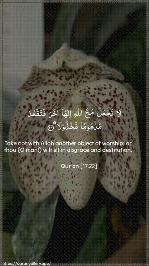 Al-Israa Ayah 22 - Arabic + English wallpaper