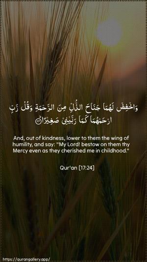 Al-Israa Ayah 24 - Arabic + English wallpaper