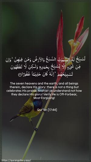 Al-Israa Ayah 44 - Arabic + English wallpaper