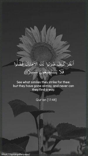 Al-Israa Ayah 48 - Arabic + English wallpaper