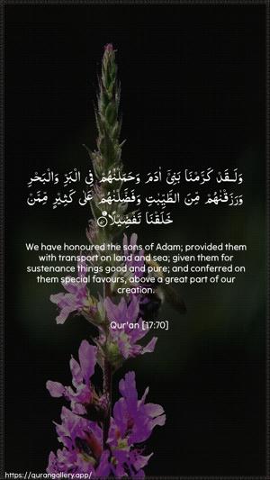 Al-Israa Ayah 70 - Arabic + English wallpaper