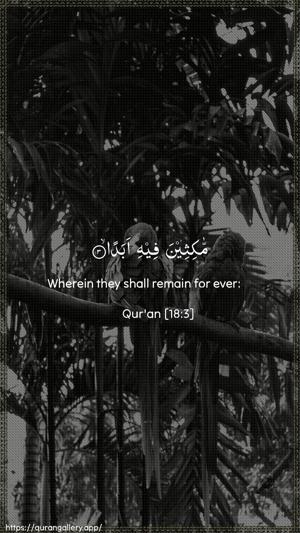 Al-Kahf Ayah 3 - Arabic + English wallpaper