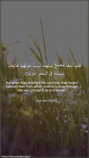 Al-Kahf Ayah 61 - Arabic + English wallpaper