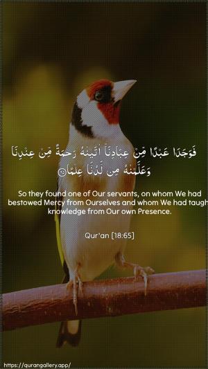 Al-Kahf Ayah 65 - Arabic + English wallpaper