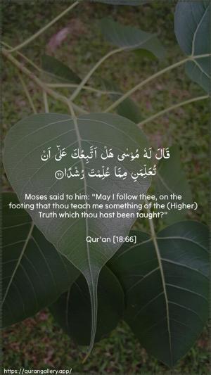Al-Kahf Ayah 66 - Arabic + English wallpaper
