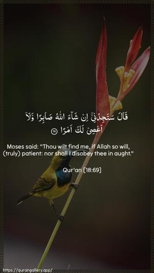 Al-Kahf Ayah 69 - Arabic + English wallpaper