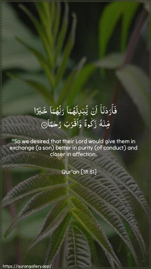 Al-Kahf Ayah 81 - Arabic + English wallpaper