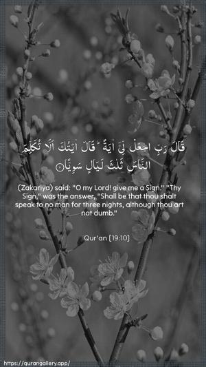 Maryam Ayah 10 - Arabic + English wallpaper