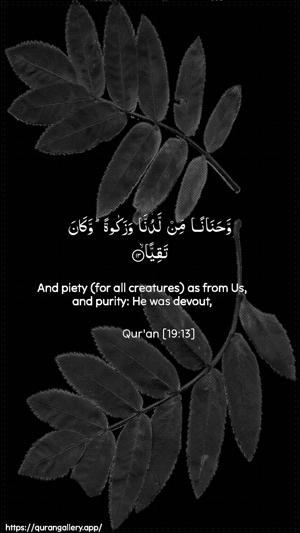 Maryam Ayah 13 - Arabic + English wallpaper
