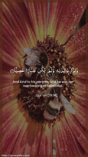 Maryam Ayah 14 - Arabic + English wallpaper