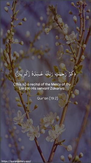 Maryam Ayah 2 - Arabic + English wallpaper