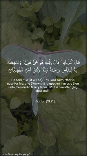 Maryam Ayah 21 - Arabic + English wallpaper