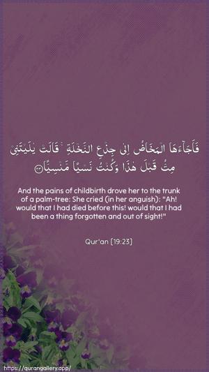 Maryam Ayah 23 - Arabic + English wallpaper