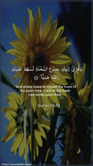 Maryam Ayah 25 - Arabic + English wallpaper