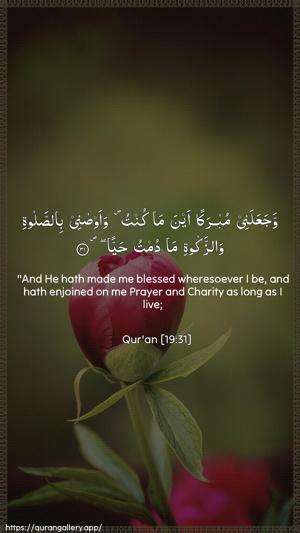 Maryam Ayah 31 - Arabic + English wallpaper