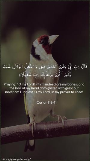 Maryam Ayah 4 - Arabic + English wallpaper