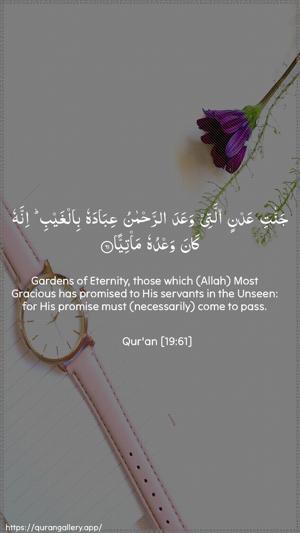 Maryam Ayah 61 - Arabic + English wallpaper