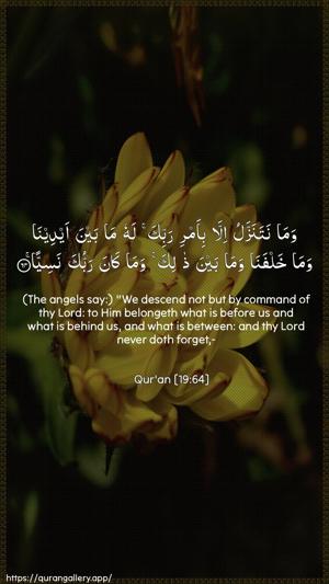 Maryam Ayah 64 - Arabic + English wallpaper
