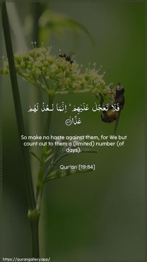 Maryam Ayah 84 - Arabic + English wallpaper