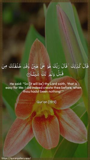 Maryam Ayah 9 - Arabic + English wallpaper