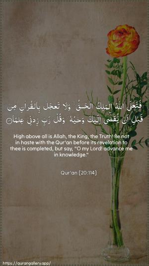Taa-Haa Ayah 114 - Arabic + English wallpaper