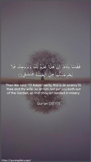 Taa-Haa Ayah 117 - Arabic + English wallpaper