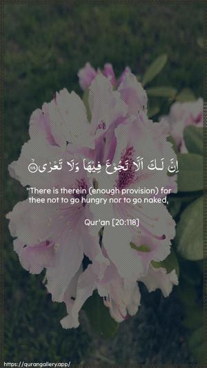 Taa-Haa Ayah 118 - Arabic + English wallpaper