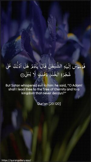 Taa-Haa Ayah 120 - Arabic + English wallpaper