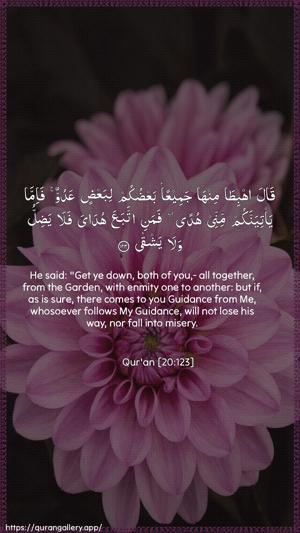 Taa-Haa Ayah 123 - Arabic + English wallpaper