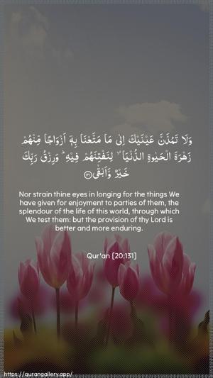 Taa-Haa Ayah 131 - Arabic + English wallpaper