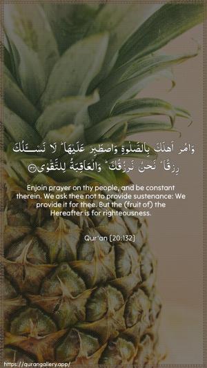 Taa-Haa Ayah 132 - Arabic + English wallpaper
