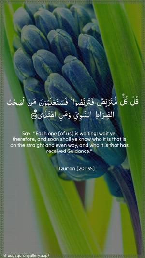 Taa-Haa Ayah 135 - Arabic + English wallpaper
