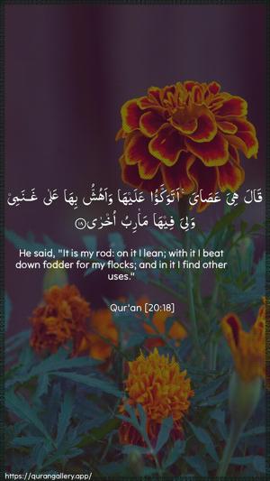 Taa-Haa Ayah 18 - Arabic + English wallpaper