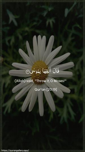 Taa-Haa Ayah 19 - Arabic + English wallpaper