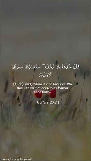 Taa-Haa Ayah 21 - Arabic + English wallpaper