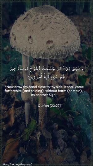 Taa-Haa Ayah 22 - Arabic + English wallpaper