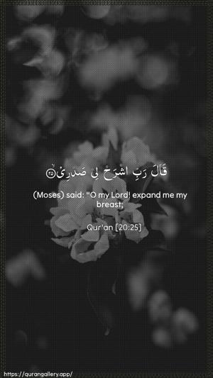 Taa-Haa Ayah 25 - Arabic + English wallpaper