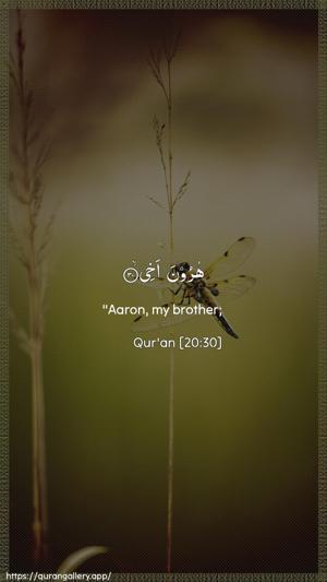 Taa-Haa Ayah 30 - Arabic + English wallpaper