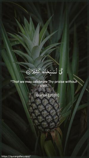 Taa-Haa Ayah 33 - Arabic + English wallpaper