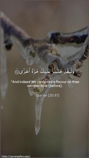 Taa-Haa Ayah 37 - Arabic + English wallpaper