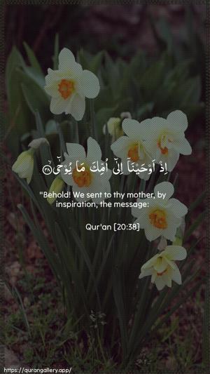 Taa-Haa Ayah 38 - Arabic + English wallpaper