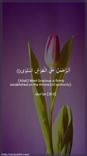 Taa-Haa Ayah 5 - Arabic + English wallpaper