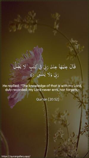 Taa-Haa Ayah 52 - Arabic + English wallpaper