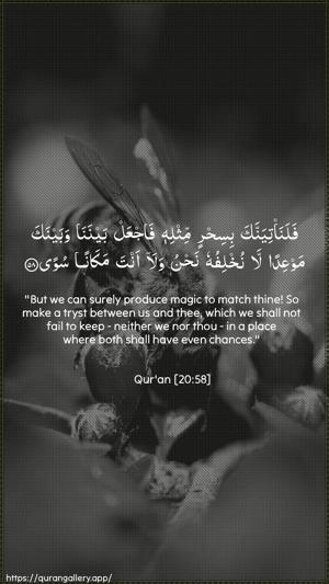 Taa-Haa Ayah 58 - Arabic + English wallpaper