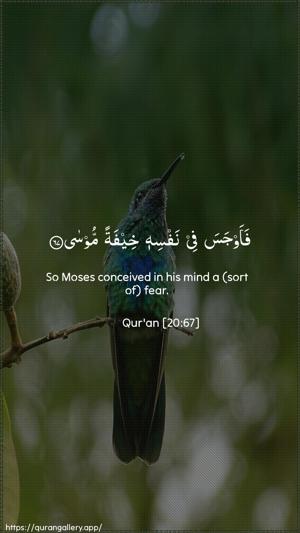 Taa-Haa Ayah 67 - Arabic + English wallpaper