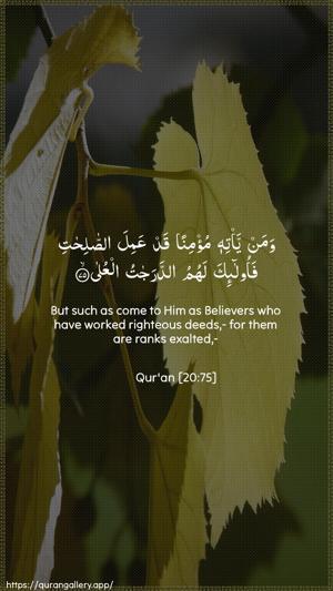 Taa-Haa Ayah 75 - Arabic + English wallpaper