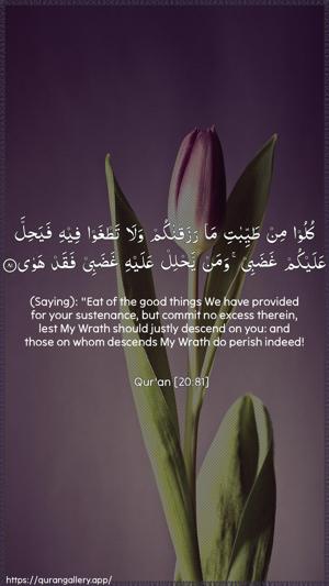 Taa-Haa Ayah 81 - Arabic + English wallpaper