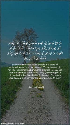 Taa-Haa Ayah 86 - Arabic + English wallpaper