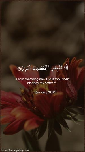 Taa-Haa Ayah 93 - Arabic + English wallpaper