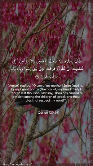 Taa-Haa Ayah 94 - Arabic + English wallpaper